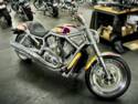 2002 V-Rod Custom Paint