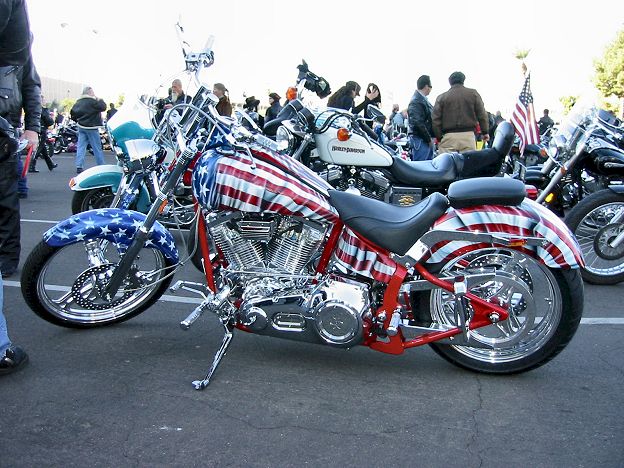Custom Flag Bike
