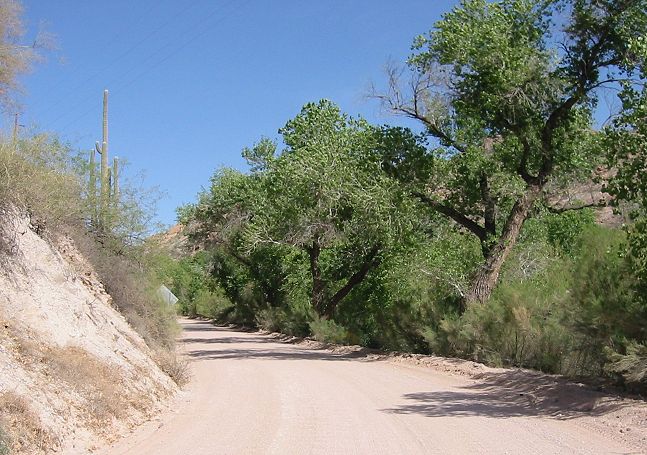 Fish Creek