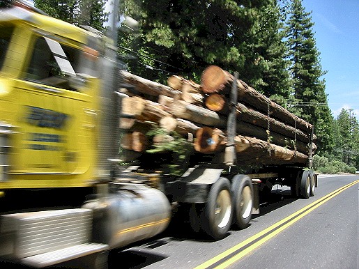 One of the Many Log Trucks You Will Pass On This Route