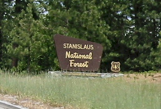 Stanislaus Forest On The Sonora Pass, Hwy. 108