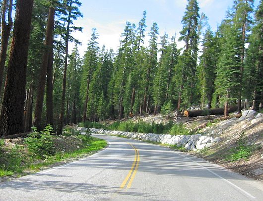 The View From Tioga Pass