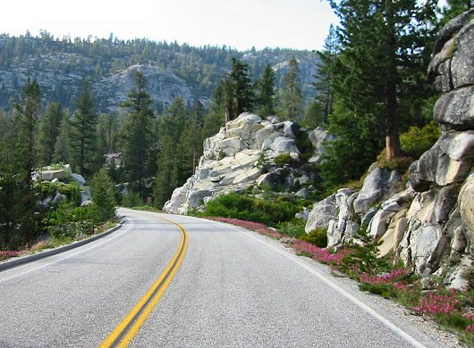The View From Tioga Pass