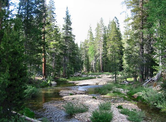The View From Tioga Pass