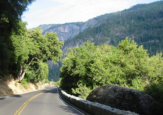 The View From Tioga Pass