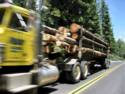 One of the Many Log Trucks You Will Pass On This Route