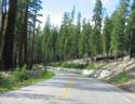 The View From Tioga Pass