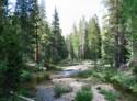 The View From Tioga Pass