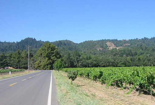The Oakville Rd. Side