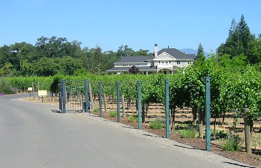 Duckhorn Winery. A Top Notch Winery Near St. Helena