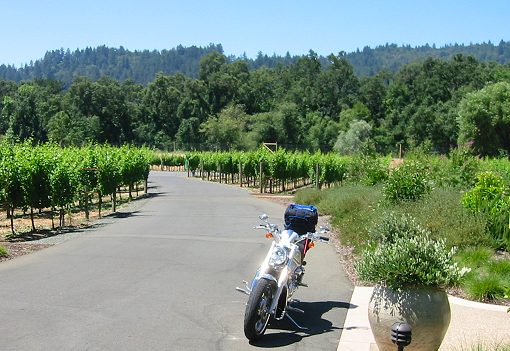 The Vineyards at Duckhorn