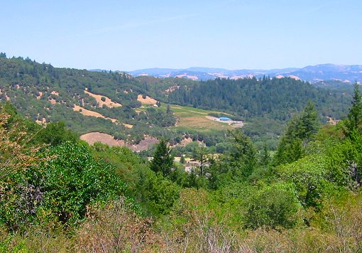 The Country Around Stewarts Point/Skaggs Rd.