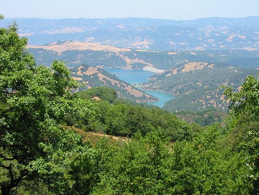 Lake Sonoma From A Higher Point