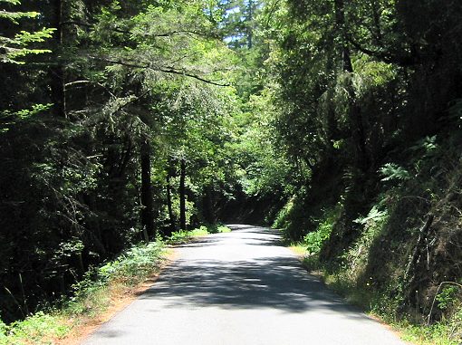 The Very Narrow Stewarts Point Part of the Road.