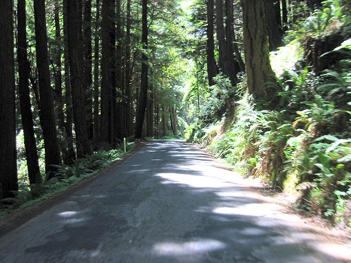 The Very Narrow Stewarts Point Part of the Road.