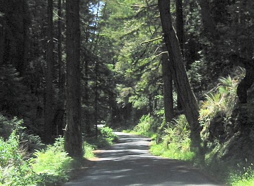 The Very Narrow Stewarts Point Part of the Road.