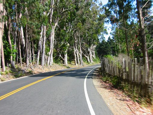 The View From Hwy. 1 Heading South To Fort Ross Rd.