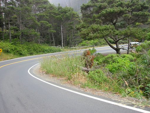 The View From Hwy. 1 Heading South To Fort Ross Rd.
