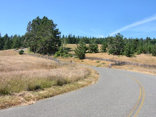The View From Fort Ross Rd.