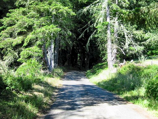 The View From Fort Ross Rd.