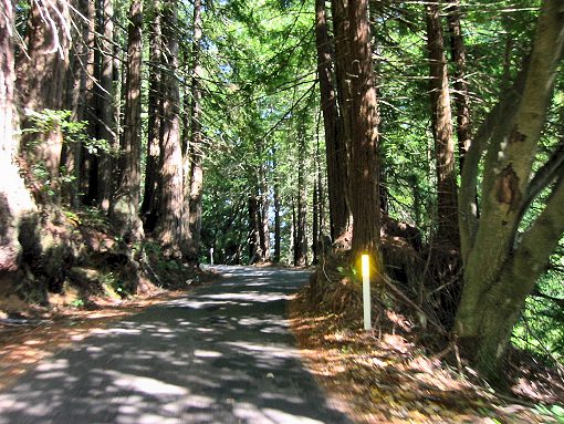 The View From Fort Ross Rd.