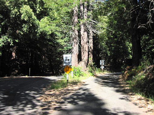 The View From Fort Ross Rd. Pick A Side