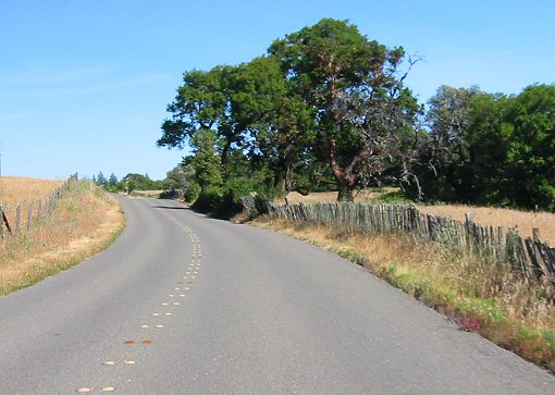 More of Fort Ross Rd. 
