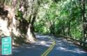 Trinity Rd./Oakville Grade. A must ride through the middle of Napa Valley