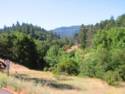 Trinity Rd./Oakville Grade.