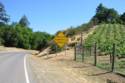 Trinity Rd./Oakville Grade.