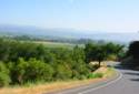 Trinity Rd./Oakville Grade.