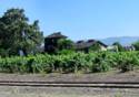 Napa Valley