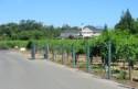 Duckhorn Winery. A Top Notch Winery Near St. Helena
