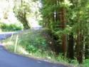 The Very Narrow Stewarts Point Part of the Road.