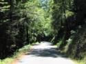 The Very Narrow Stewarts Point Part of the Road.