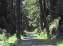 The Very Narrow Stewarts Point Part of the Road.