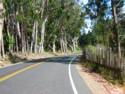 The View From Hwy. 1 Heading South To Fort Ross Rd.