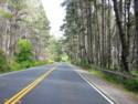 The View From Hwy. 1 Heading South To Fort Ross Rd.