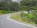 The View From Hwy. 1 Heading South To Fort Ross Rd.