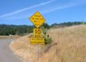 The Beginning of Fort Ross Rd. Take The Hint From The Sign. Narrow Road.