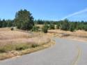 The View From Fort Ross Rd.