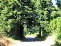 The View From Fort Ross Rd.
