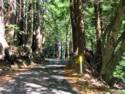The View From Fort Ross Rd.