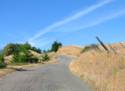 Out of the Trees and on to the Golden Hills of California 