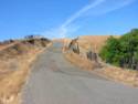Out of the Trees and on to the Golden Hills of California 