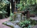 The Alter At St. Colema's in Cazadero.