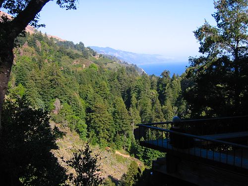 The View of the Ocean From Hwy !