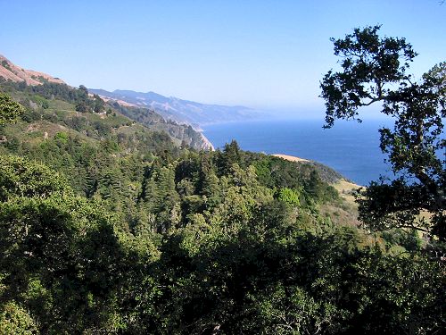 Gorgeous View Of The Ocean From Napenthe