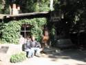 Cold Springs Tavern