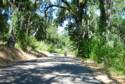 The Road Outside of Solvang